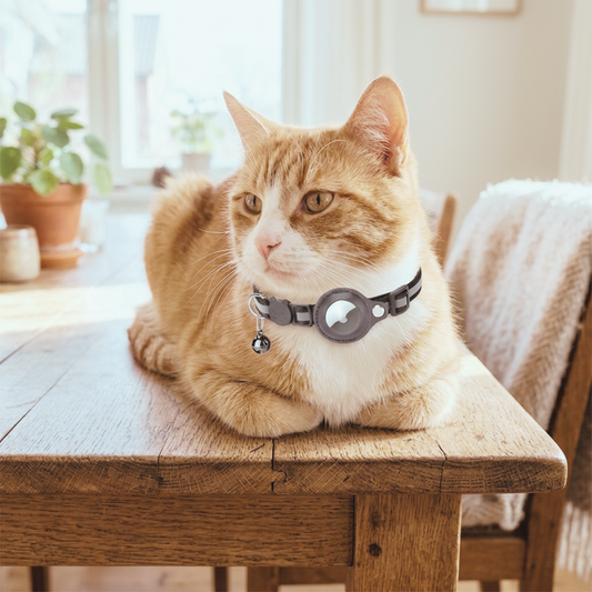 Custodia impermeabile riflettente per collare Airtag, protezione per Airtag per cani, gatti e cuccioli, collare in nylon. Reflective Collar Waterproof Holder Case For Airtag Air Tag Airtags Protective Cover